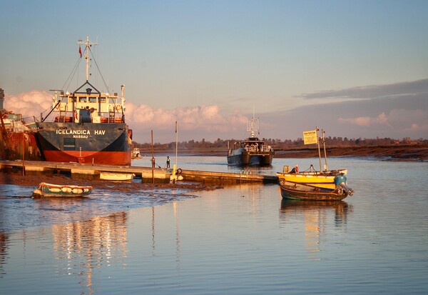 Brightlingsea Harbour in the afternoon sunshine  c Picture Board by Tony lopez