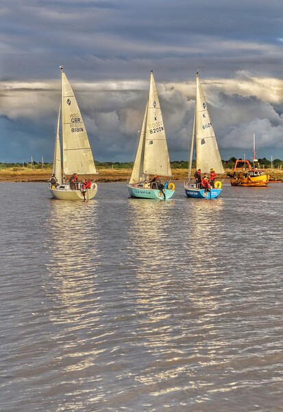 Race reflections over Brightlingsea Harbour  Picture Board by Tony lopez