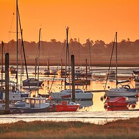 Buy canvas prints of Sunrise calm over Brightlingsea Moorings  by Tony lopez