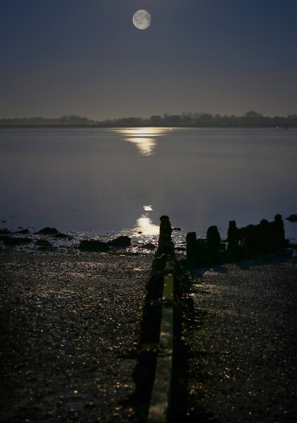 Moon  down over Brightlingsea Creek  Picture Board by Tony lopez
