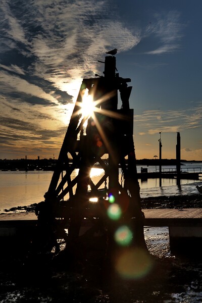 Brightlingsea Harbour moorings  posts  Picture Board by Tony lopez