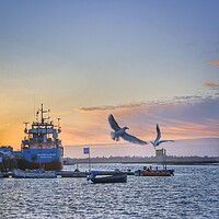 Buy canvas prints of Morning colours over Brightlingsea Harbour  by Tony lopez