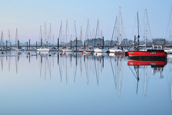 Morning blue reflections over Brightlingsea moorings  Picture Board by Tony lopez