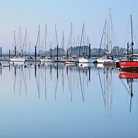 Buy canvas prints of Morning blue reflections over Brightlingsea moorings  by Tony lopez