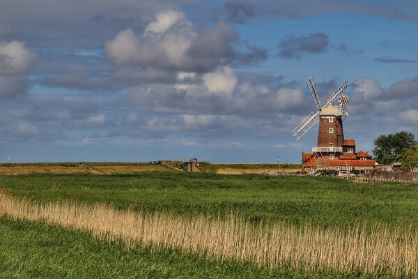 Cley windmill in norfolk basking in the afternoon sun  Picture Board by Tony lopez