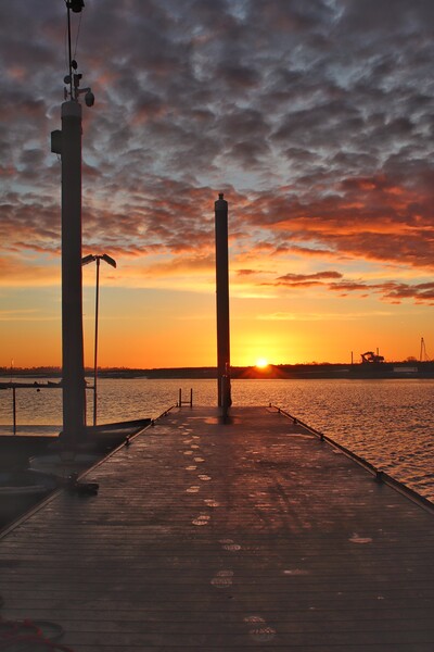 Walking into the sunset rise over Brightlingsea Ha Picture Board by Tony lopez