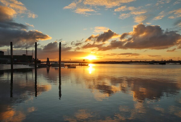 Sunrise reflections over Brightlingsea Harbour  Picture Board by Tony lopez