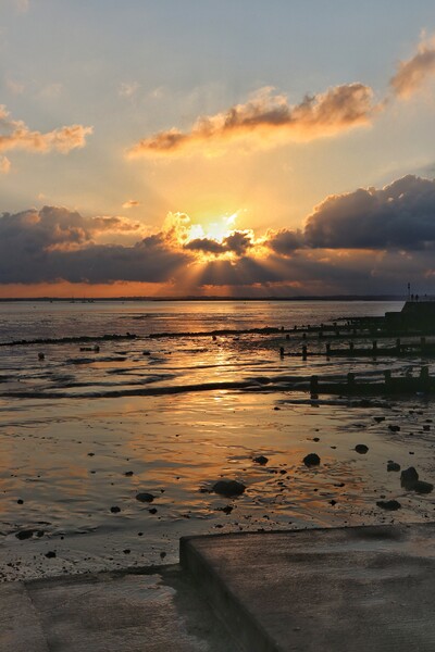 Sunset over Brightlingsea Creek  Picture Board by Tony lopez