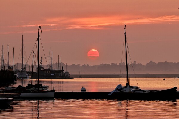 Red sunrise over Brightlingsea Harbour  Picture Board by Tony lopez