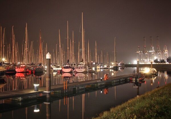 Evening light reflections over the Shotley marina  Picture Board by Tony lopez