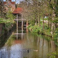 Buy canvas prints of Walking  at Sissinghurst castle  by Tony lopez
