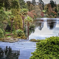 Buy canvas prints of Scenic Views across the lake at Sheffield Park sussex  by Tony lopez