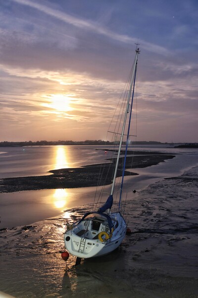 Moon down over the Brightlingsea Harbour  Picture Board by Tony lopez