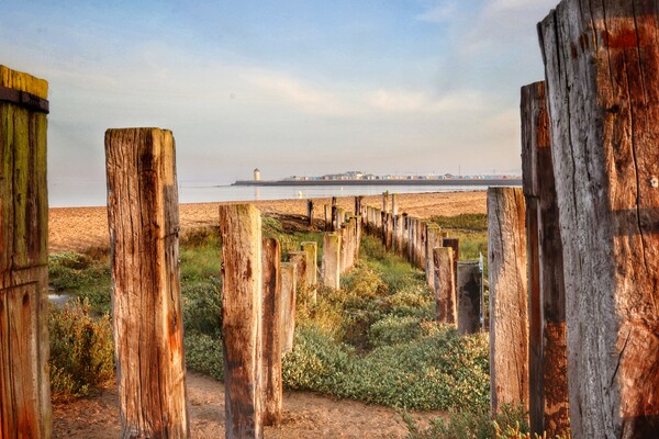 Morning Views over Brightlingsea beach  Picture Board by Tony lopez