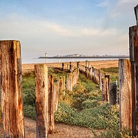 Buy canvas prints of Morning Views over Brightlingsea beach  by Tony lopez