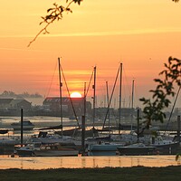 Buy canvas prints of Sunrise over the Brightlingsea moorings  by Tony lopez
