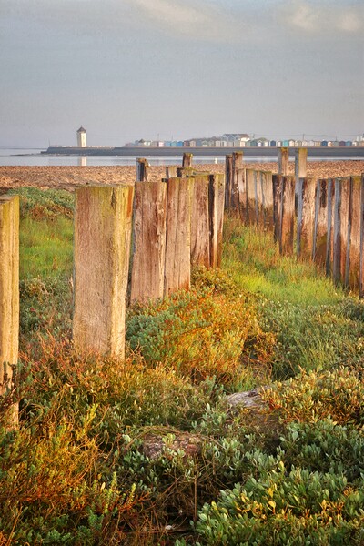 Views over point clear to Brightlingsea  Picture Board by Tony lopez