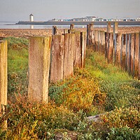 Buy canvas prints of Views over point clear to Brightlingsea  by Tony lopez