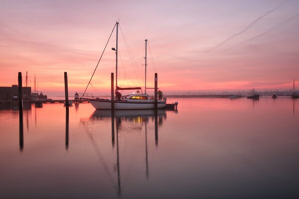 Sunrise colours over Brightlingsea Harbour  Picture Board by Tony lopez