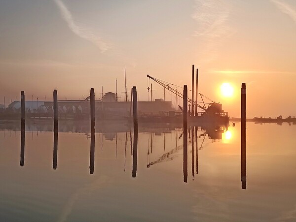 Brightlingsea Hard at sunrise  Picture Board by Tony lopez