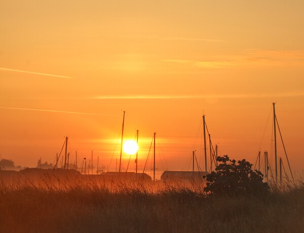 Misty sunrise over the Brightlingsea moorings  Picture Board by Tony lopez