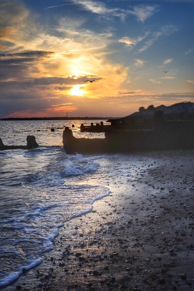 Sunsetting under the storm clouds over Brightlingsea beach  Picture Board by Tony lopez