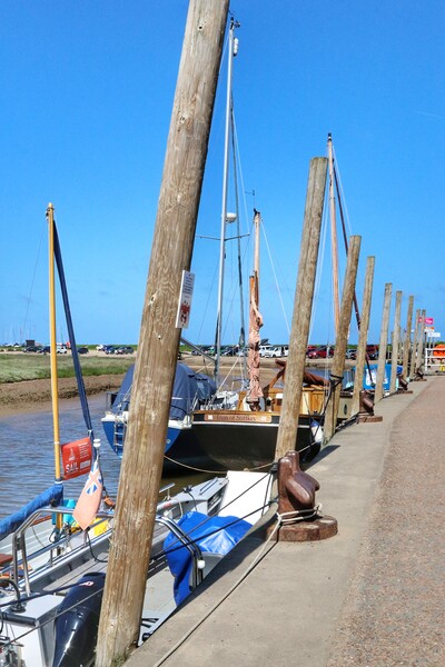 Blakeney Quay in the afternoon sun  Picture Board by Tony lopez