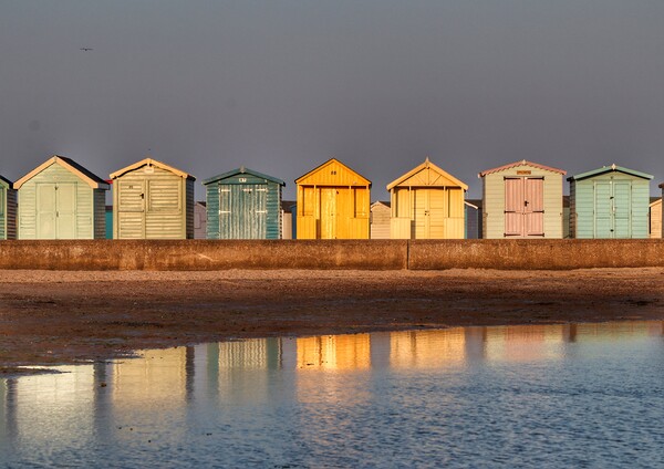Beach huts basking in a Brightlingsea  Sunset  Picture Board by Tony lopez