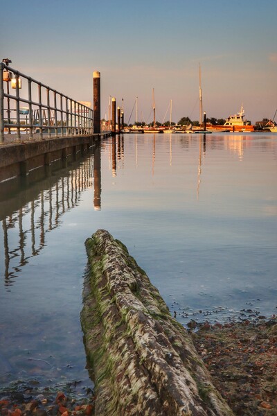 Outdoor Brightlingsea Harbour in  the morning sun  Picture Board by Tony lopez