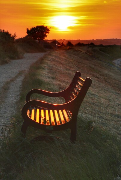Best seat in the house at sunset in Brightlingsea  Picture Board by Tony lopez