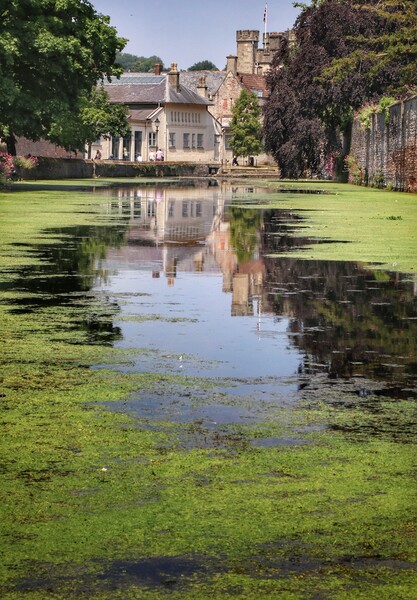 Wells in the afternoon sun with reflections  Picture Board by Tony lopez