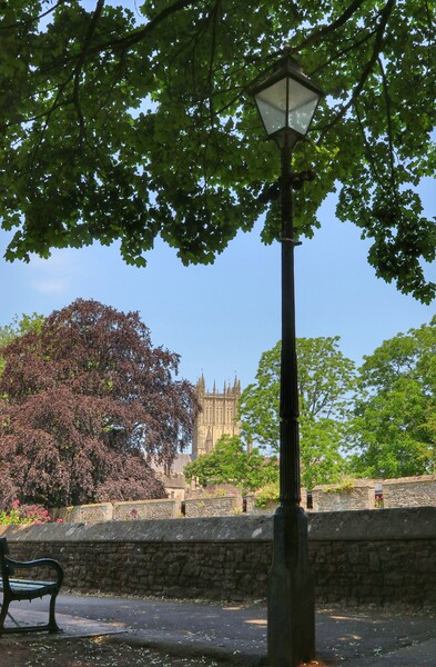 Views of wells cathedral in the summer shade Picture Board by Tony lopez