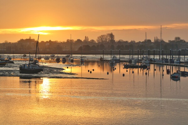 Sun rising over Brightlingsea Harbour  Picture Board by Tony lopez