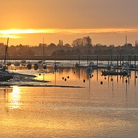 Buy canvas prints of Sun rising over Brightlingsea Harbour  by Tony lopez