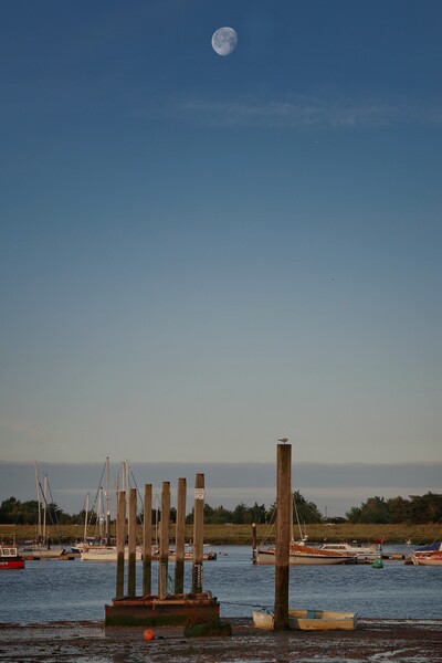 Moon down over the Brightlingsea Hard  in essex  Picture Board by Tony lopez