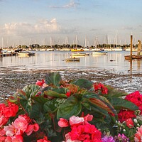 Buy canvas prints of Views across the Brightlingsea Harbour  by Tony lopez