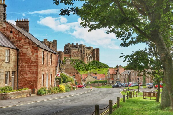 Bamburgh Castle Northumberland  Picture Board by Tony lopez