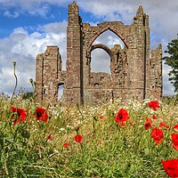 Buy canvas prints of Lindisfarne Priory in the morning sun  by Tony lopez