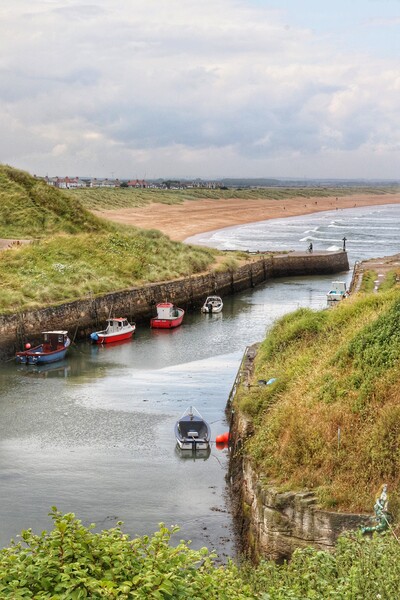 Seaton Sluice Northumberland in the sfternoon dun  Picture Board by Tony lopez