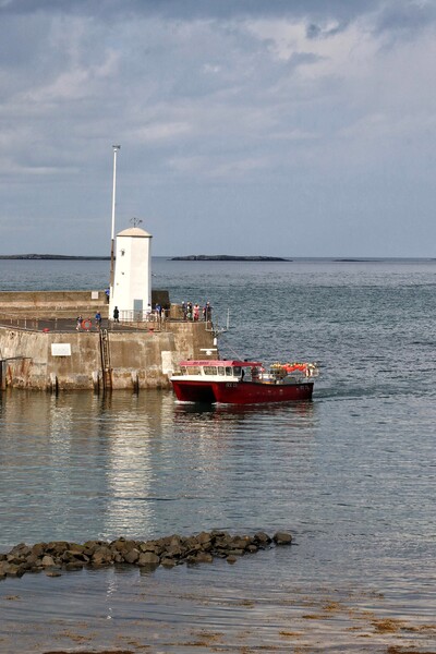 Home at the end oh the day to Seahouses Harbour  Picture Board by Tony lopez