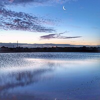 Buy canvas prints of Crescent moon going down over th Brightlingsea tidal pool  by Tony lopez
