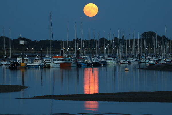 August Blue moon rising over the Brightlingsea moorings  Picture Board by Tony lopez