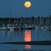 Buy canvas prints of August Blue moon rising over the Brightlingsea moorings  by Tony lopez