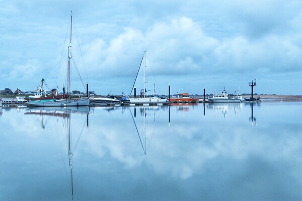 Brightlingsea Harbour in the morning blue  Picture Board by Tony lopez