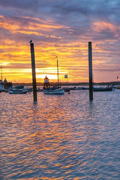 Brightlingsea sunrise colours over the harbour  Picture Board by Tony lopez