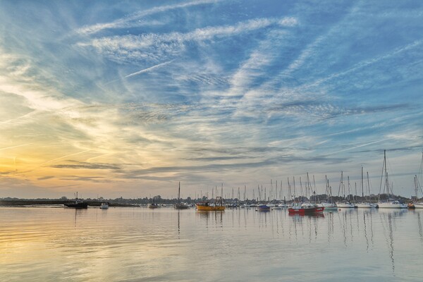 Sunrising over the Brightlingsea Harbour  Picture Board by Tony lopez