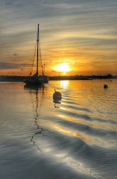 Sunrise colours and reflections over Brightlingsea Harbour in Essex  Picture Board by Tony lopez