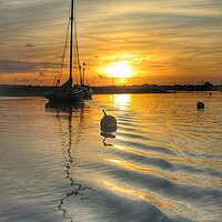Buy canvas prints of Sunrise colours and reflections over Brightlingsea Harbour in Essex  by Tony lopez