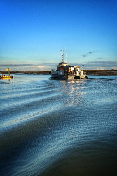 Comming home in the afternoon sun into Brightlingsea Harbour.  Picture Board by Tony lopez