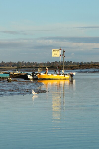 Calm sunset reflections over Brightlingsea Harbour.  Picture Board by Tony lopez
